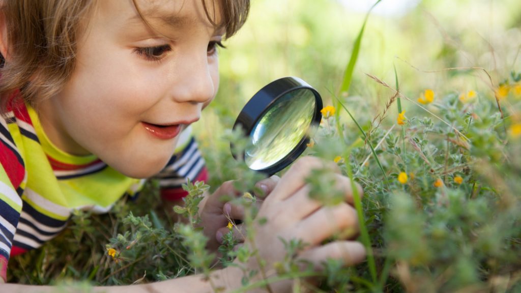 Cum sa imi descopar valorile? Brand Personal (video)