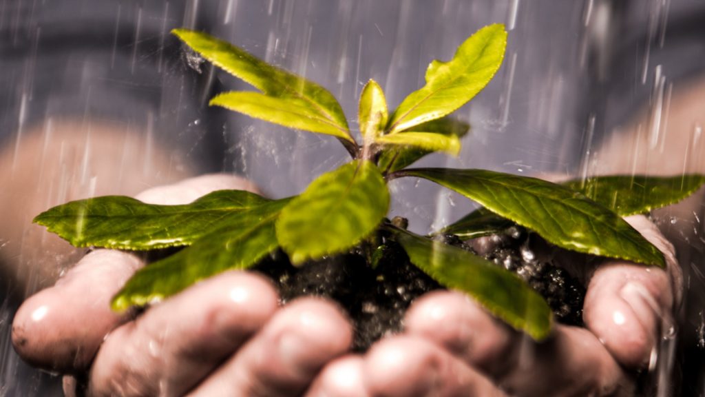 Care sunt Valorile tale si a Brandului Tau Personal? www.raduprisacaru.ro