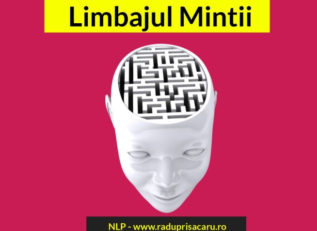 Invata sa te Concentrezi - Dezvoltare Personala NLP-2-www.raduprisacaru.ro_
