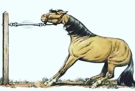 Raul este in Noi www.raduprisacaru.ro