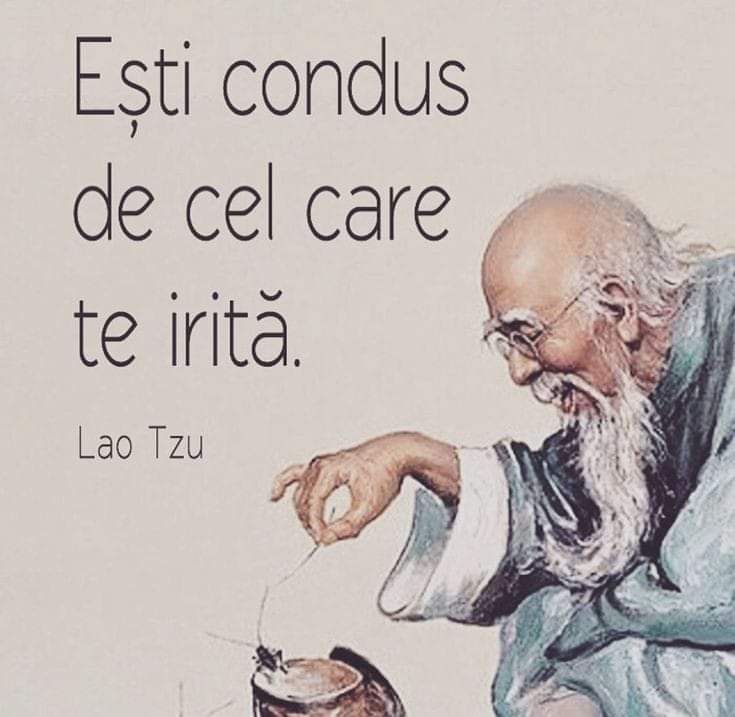 Esti condus de cel care te irita www.raduprisacaru.ro
